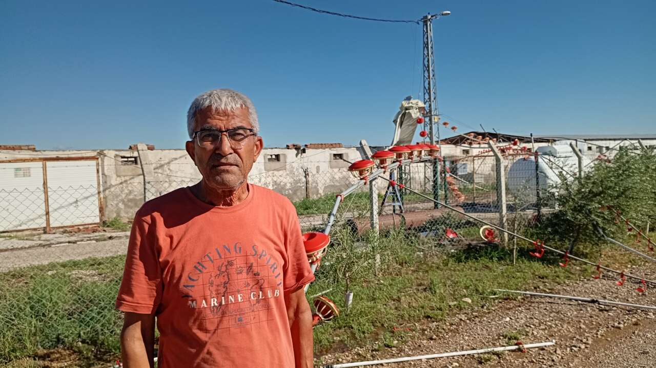 Tavuk çiftliği talan oldu, 20 bin civciv öldü 7
